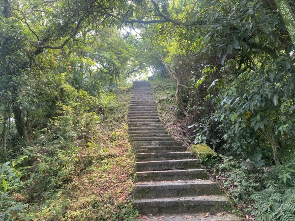 《城市與山的交界線｜大尖山連走四分尾山》O繞路線＋秀峰瀑布＋遇見養蜂人🐝3056640