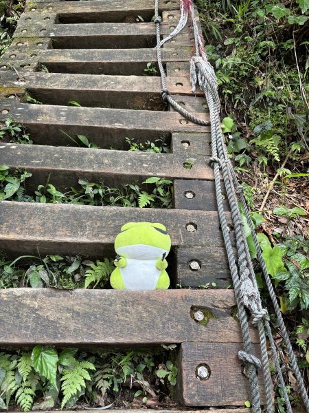 小百岳 - 獅仔頭山封面