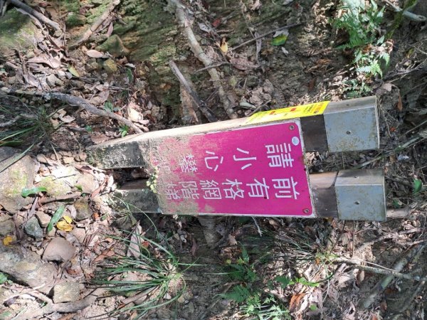 2026微笑山線望古瀑布段3103408