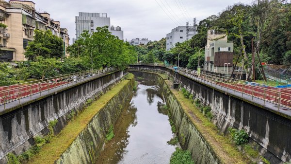 南港四分溪,三重埔埤濕地復育,大坑溪2502948