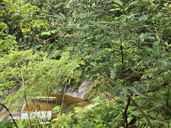 2025-11-08微笑山線：【五分山系】菁桐煤礦段2932719