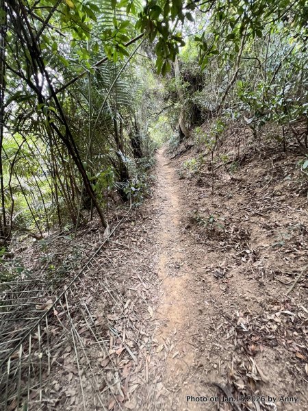 【新竹＋苗栗】猿獅縱走2989067