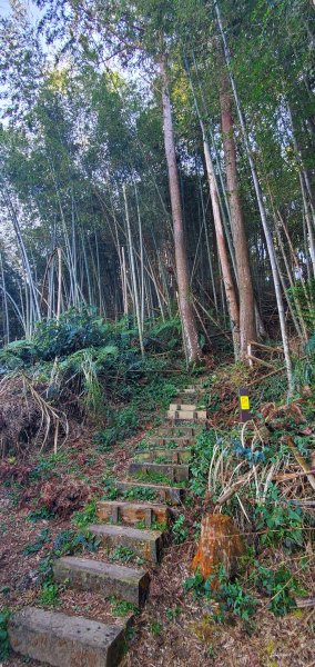 2025-01-30瑞太古道2704378