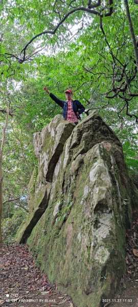 迷霧森林的羅山林道北線、油羅山 H1764m (巧遇野孩子小樂)1531392