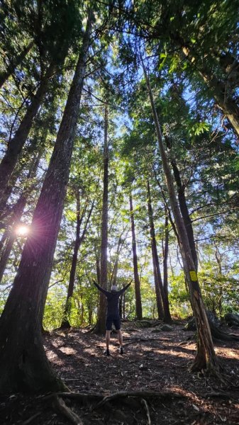 20251014雪見遊憩區 🚴‍♂️咖搭車走司馬限林道上東洗水山兩刷北坑山至大板根2916458