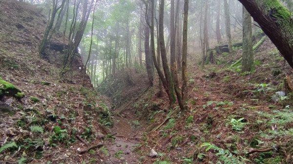 馬崙山之美1756023