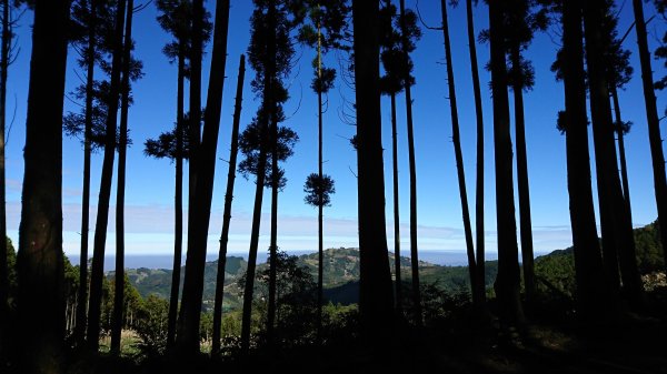 羅山林道北線趴趴走417931