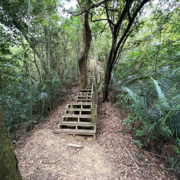 20231024_新竹飛龍健行步道（森遊竹縣）2762925