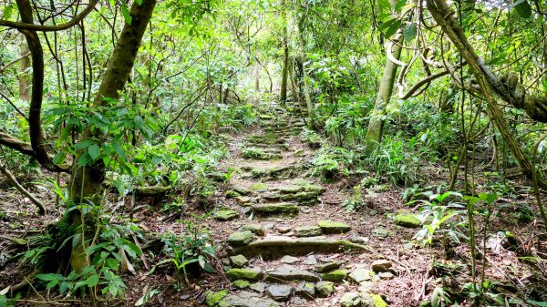 暖東峽谷大環小環2834408