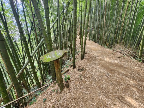 20251004雲頂之丘番子田山2927210