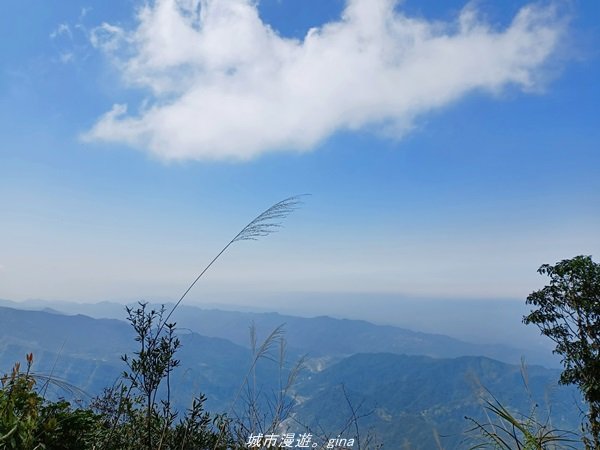 【新竹。五峰】  悠遊山林。 小百岳集起來。 編號31小百岳~鵝公髻山步道x山上人家1652440