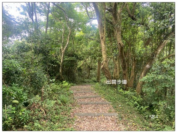 菜壽凸、薑麻園出關古道2797006