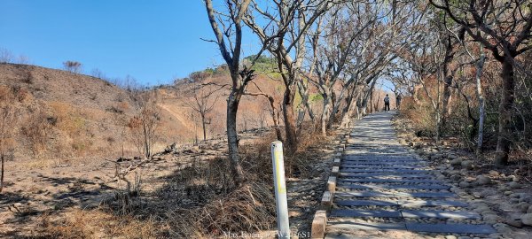 《台中》短暫暖陽｜龍井竹坑南寮步道O繞202601042976407