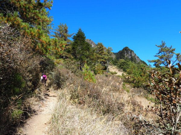 牽著她的手，再上桃山～360度盡入眼簾763126