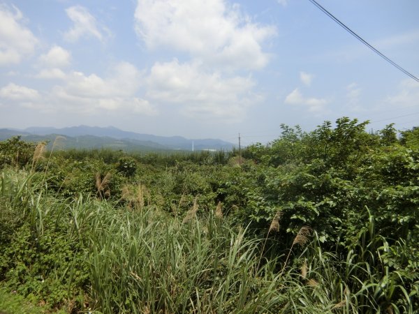 草嶺古道（福隆到大里）960305