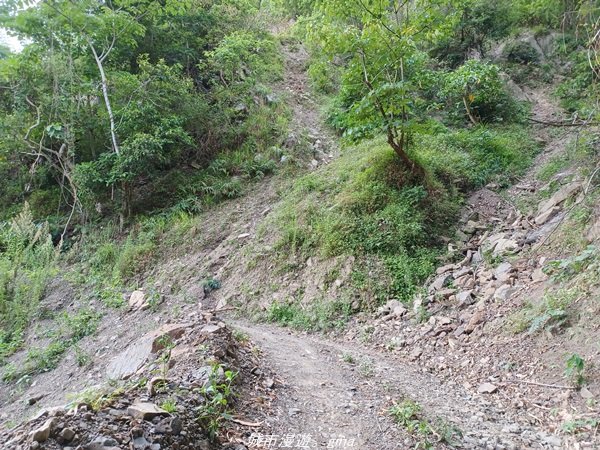 【高雄甲仙】沒有朵朵白雲。 小百岳集起來。 編號69小百岳-白雲山步道1713214