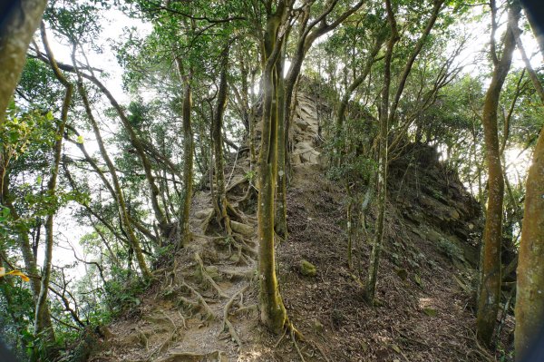 苗栗 獅潭 仙山、大窩山2984285