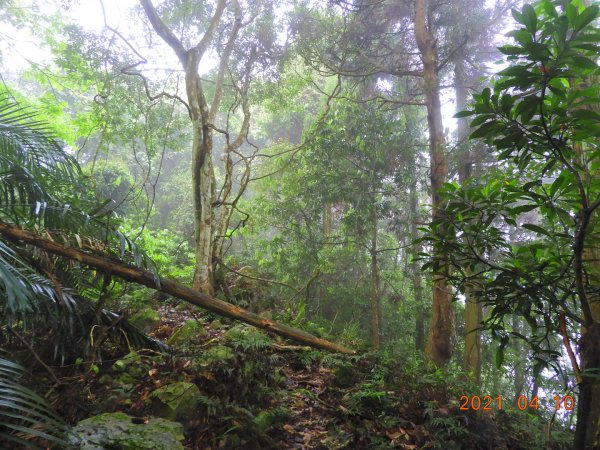 苗栗 南庄 小東河山1342260