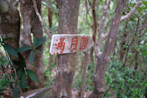 桃園復興區  東卡O縱2823834