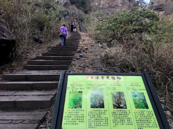 屏東_卡悠峯瀑布步道2019081964210