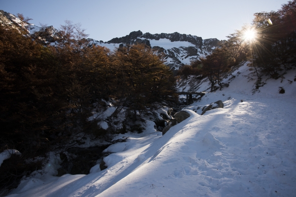 阿根廷火地島馬蒂爾冰河53896