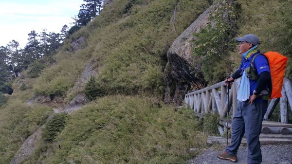 玉山主峰步道 2017 06 27140377