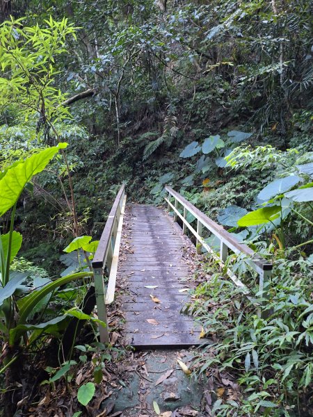 谷關蝴蝶谷瀑布202511202940788