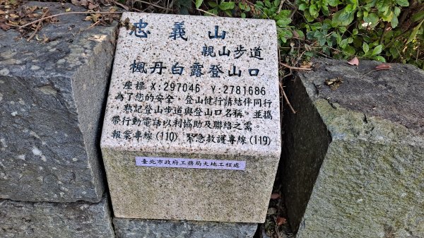 台北大縱走第一段1249082