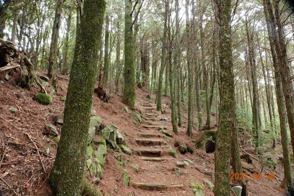 臺中 和平 鞍馬山1697260