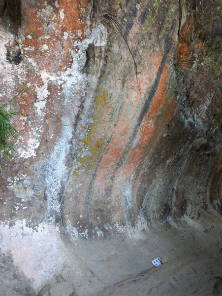 2025.09.21－微笑山線：【鳶山山系】鳶山彩壁段2898709