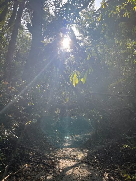 2025/3/22白毛山2823669