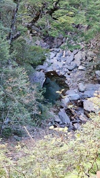 20251214合歡西北下華崗2963735