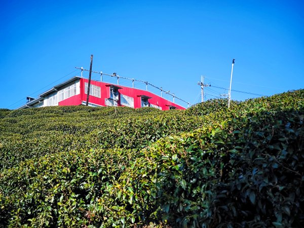 2025-02-16 巴蜈縱走2714318