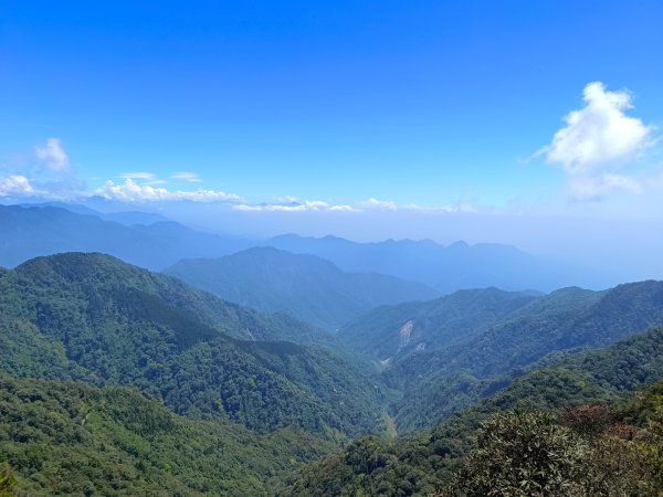 鳶嘴山之高山杜鵑花/雲海/大藍天2141098