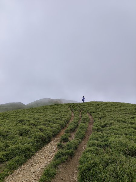 南投/花蓮-合歡北峰3053839