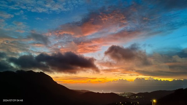雲山水花鳥蝶 - 天龍國阿伯的日常7/18 & 21、22、292559984