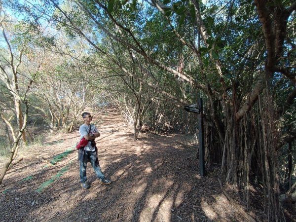 大肚環保公園登山步道(南＋北段Ｏ形)2443530