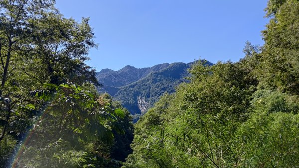 大霸群峰登山步道(大鹿林道線)2911392