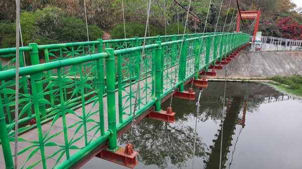 《南投》河岸賞鳥｜竹山下坪步道及自然教育園區O繞202302252042165