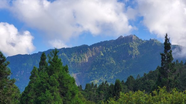 阿里山避暑放鬆遊(絕美日出 雲海 神木 珍禽 美食 咖啡)1786638