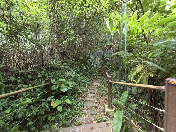 [皮皮獅探險隊-10/10] 2025_0816 白蘭溪古道2862944