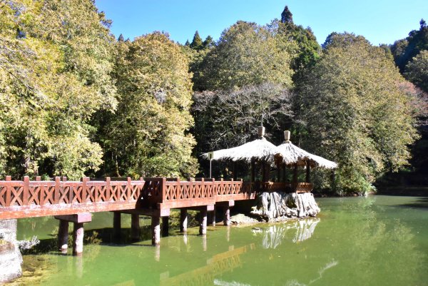 20260207阿里山健行追公車3010592