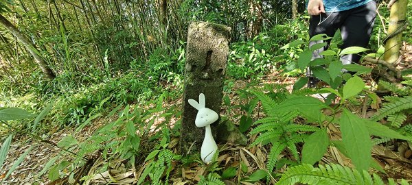 2025/05/17-凌空廊道至比麟山來回2790063