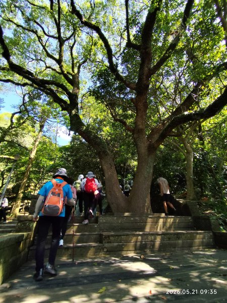 臺北內湖金面山、剪刀石3063646