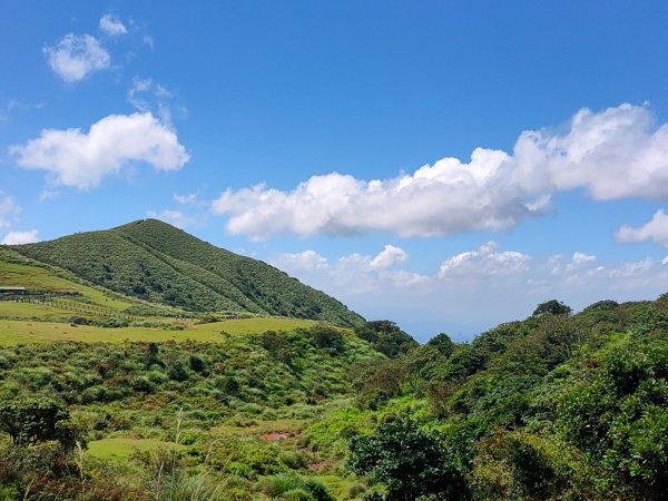 ［讓我們看雲去！］［擎天崗環形步道］&［竹篙山］（2023/9/19）2291004