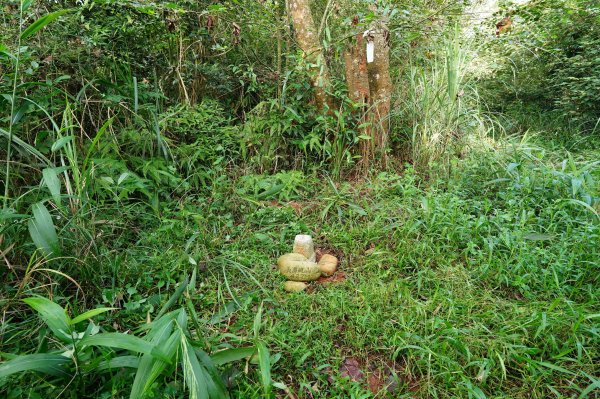 苗栗 長潭坑山、大坑尾山、三角山、雙峰山2598365