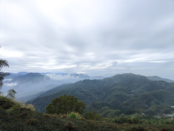 2023.12.23 梨子腳山2833274