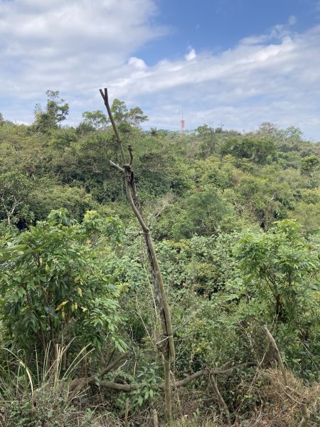 20260221高雄壽山+愛河灣3003366