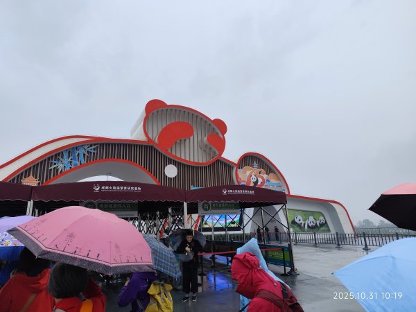 四川成都大熊貓繁育研究基地2940706