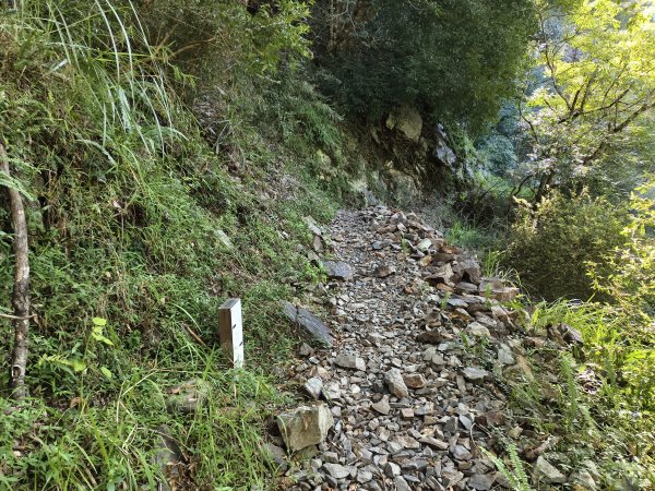 [玉山尋寶任務-07/12] 2025_0824 八通關雲龍瀑布步道2870605